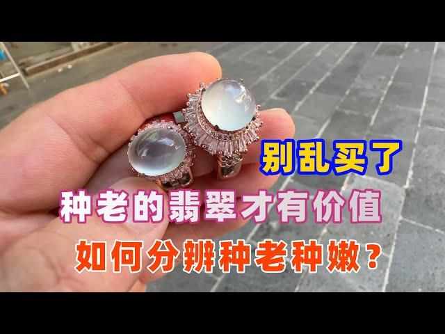騰格里的駱駝：別亂買了，種老的翡翠才有價值，種老種嫩如何分辨