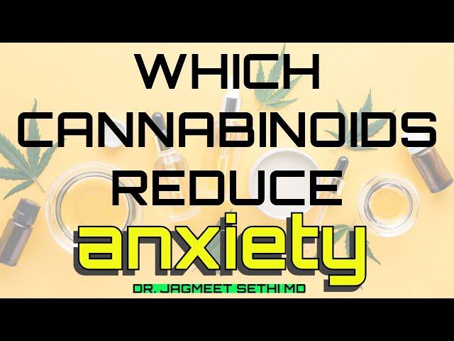 Which Cannabinoids Reduce Anxiety? THC vs CBD vs CBN vs CBG. Doctor Explains About Medical Cannabis.