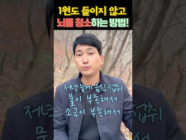 1원도 들이지 않고 뇌를 청소하는 가장 쉬운 방법!