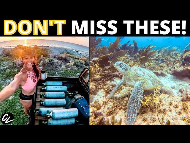 Bonaire Scuba Diving   BEST BONAIRE DIVE SITES