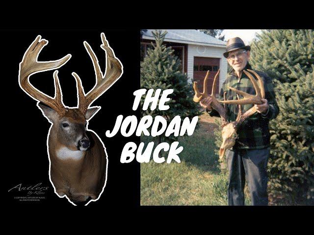 The World's Top Scoring Typical Buck for 79 YEARS! The Story of the Jordan Buck