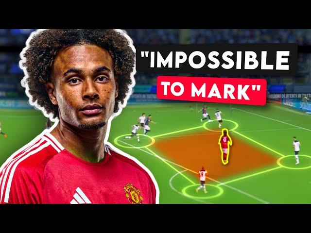 Why Zirkzee is The Perfect Profile for Man United