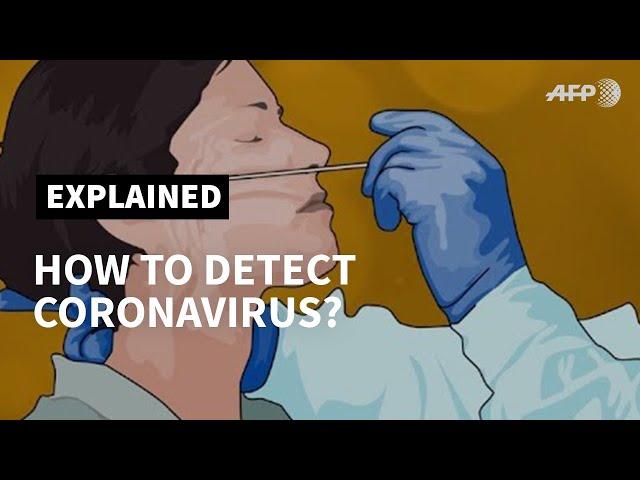 The two types of test for coronavirus | AFP