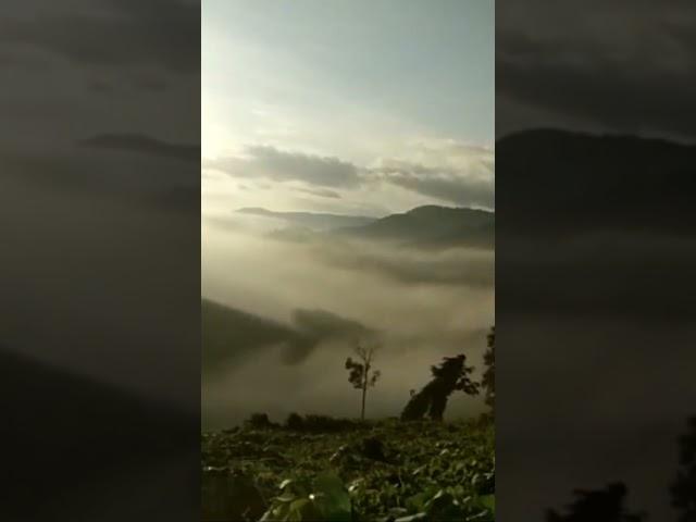 Beautiful view from Konni, Pathanamthitta | Kerala Sunrise  | #konni #pathanamthitta #Shorts #wild