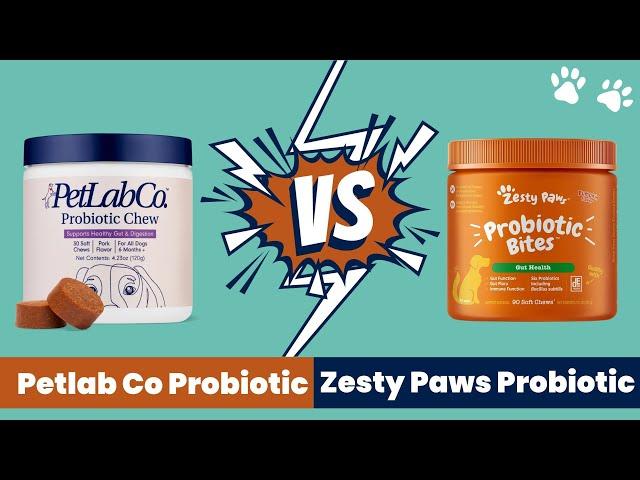 Petlab Co. vs Zesty Paws Probiotic Chews (What is Most Effective Dog Probiotic)