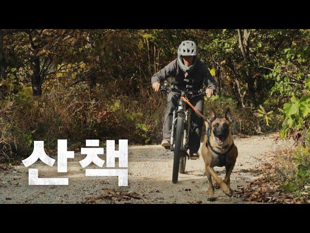 강형욱이 산책하는 법 | Trail Dog [그 남자의 산책]