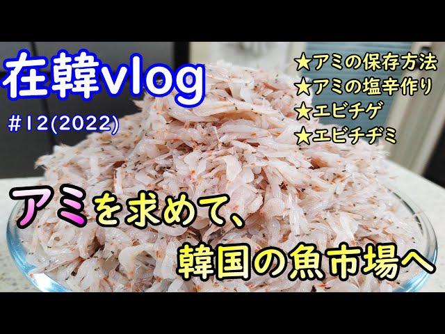 【在韓vlog】#12(2022)韓国の魚市場で生アミ買ってきました,생새우손질법,새우젓만들기,생새우찌개,새우부추전