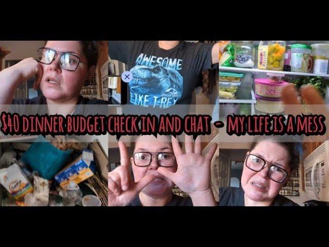 BONUS VIDEO! Check in and Chat About our Extreme Grocery Budget Challenge! ADHD Ramblings..