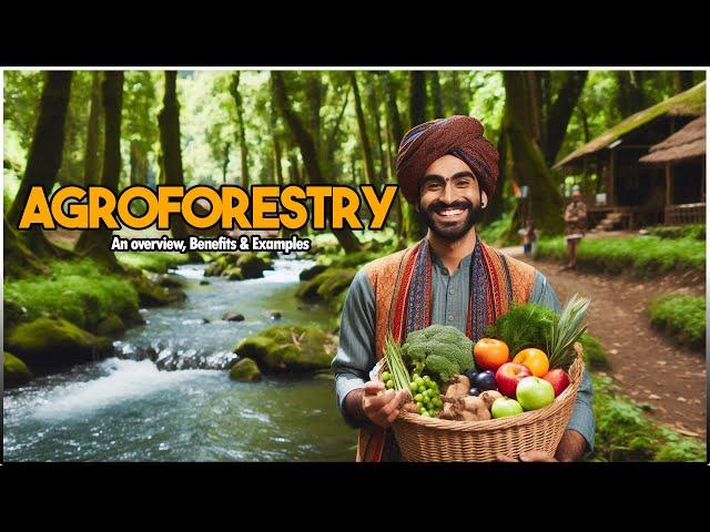 What is AGROFORESTRY..? An overview, Benefits & Examples