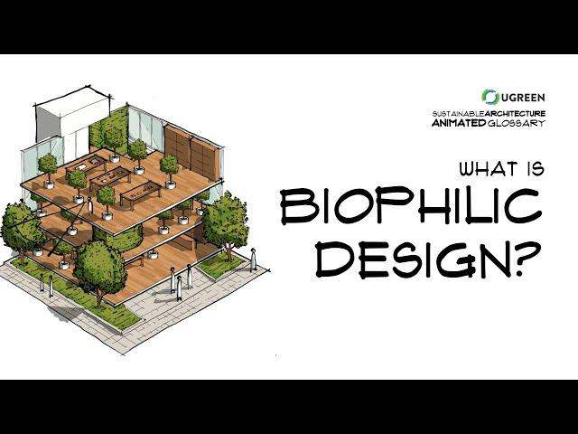 What Is Biophilic Design? -  Sustainable Architecture Animated Glossary #19