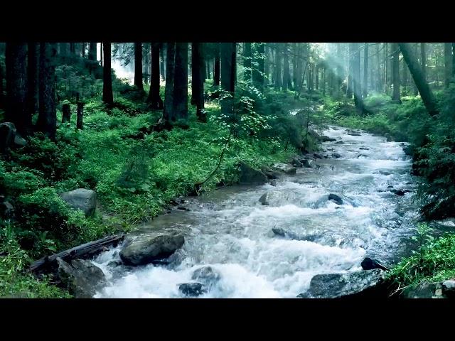 Beautiful Mountain River Flowing Sound. Forest River, Relaxing Nature Sounds/ Sleep/ Relax 10 hours.