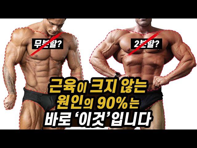 근육이 빠르게 크지 않는 원인의 90%는 바로 '이것'입니다