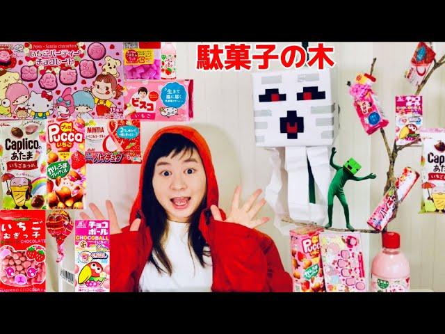 まいぜんシスターズ実写版/いちごの駄菓子がなる木でASMRしてみた結果！？