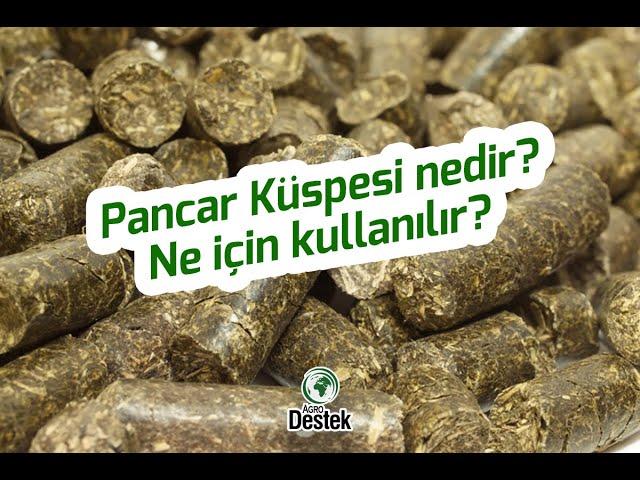 Pancar Küspesi Nedir Ne İçin Kullanılır?