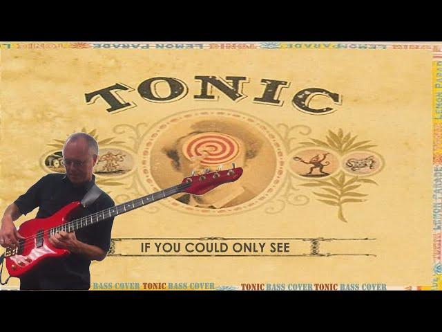 Tonic / Dan Rothchild : "If You Could Only See" - bass cover