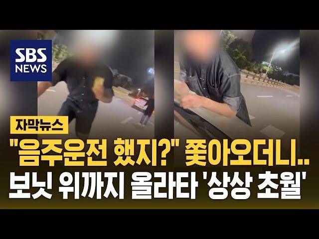 "음주운전 했지?" 쫓아오더니…보닛 위까지 올라타 '상상 초월' (자막뉴스) / SBS