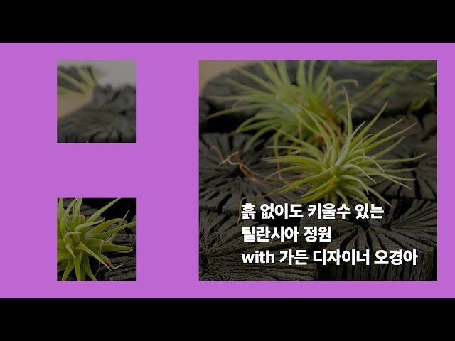 DDP 온라인 클래스 - 머물고 싶은 집, 홈가든 디자인: 3강