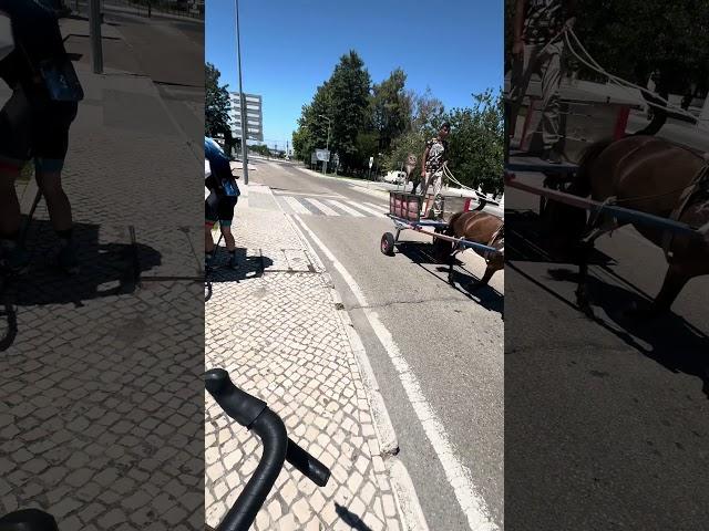 A normal sunny day in Alentejo, Portugal. A horse cart passed us :) #visitportugal #cycling