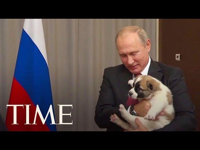 Here's The Awkward Moment When Vladimir Putin Got A Puppy As A Gift | TIME