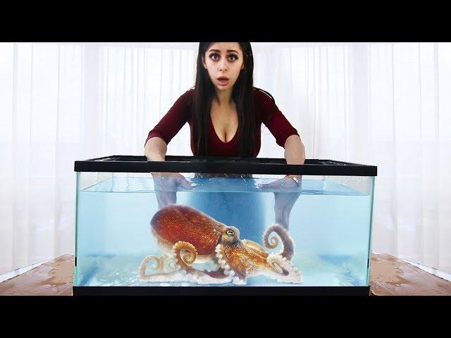 Whats in the Box Challenge - UNDERWATER AQUARIUM VERSION !