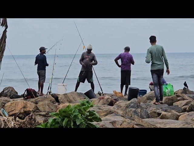 Fisherman 's Place/ Fishing Rod #mothernature #entertainment