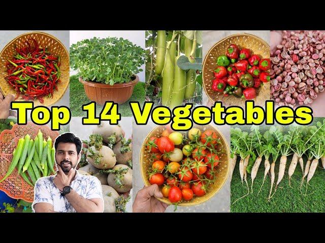 Top 14 vegetables to grow at Home / Garden (English CC)