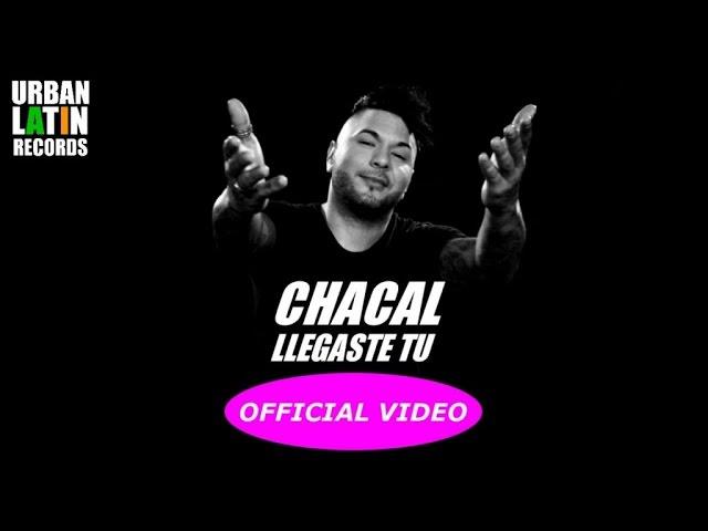 CHACAL ►  LLEGASTE TU - (OFFICIAL VIDEO) DJ UNIC EDIT