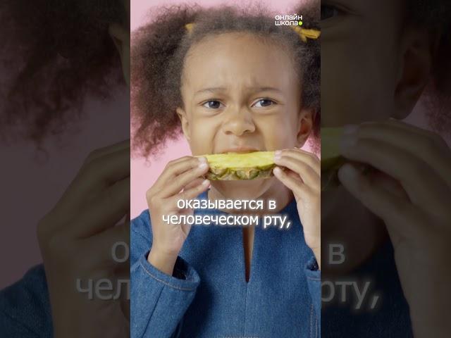 Пока ты ешь ананас, ананас ест тебя
