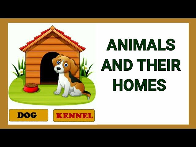 Animals and their homes | Animals home | Home of animals | Animal homes | Animal shelter for kids