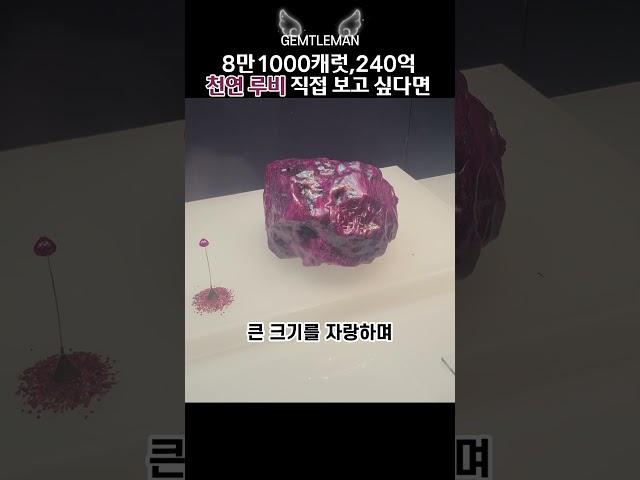 81,000캐럿 루비원석 익산보석박물관에 전시 #보석박물관 #보석특강