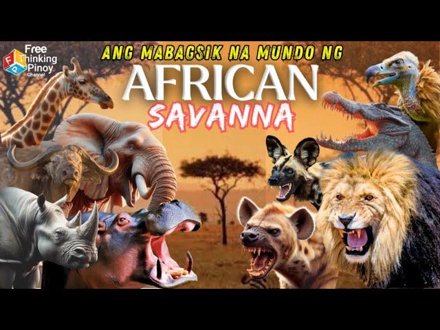 Sino ang Hari ng African Savanna | Dangerous Animals of Africa