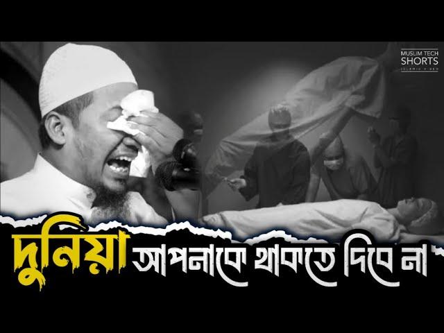 দুনিয়া আপনাকে থাকতে দিবে না || Anisur Rahman Ashrafi