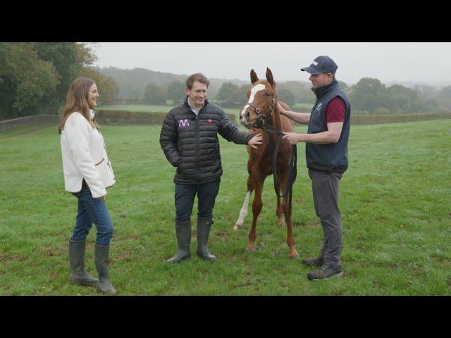 Frankel Own Sister to 2000 Guineas Winner Chaldean to be Offered at Tattersalls December Foal Sale