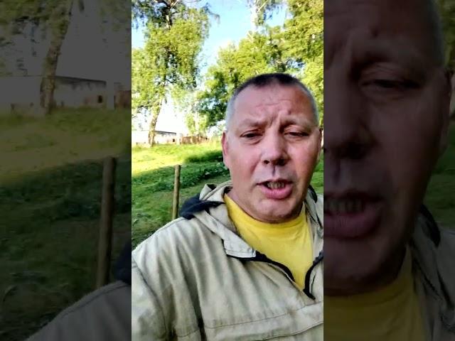Утро фермера: косить, кормить, радоваться
