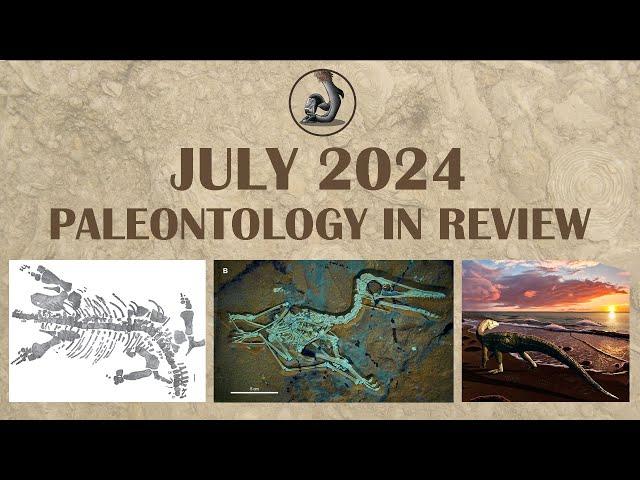 New Fossils from July 2024