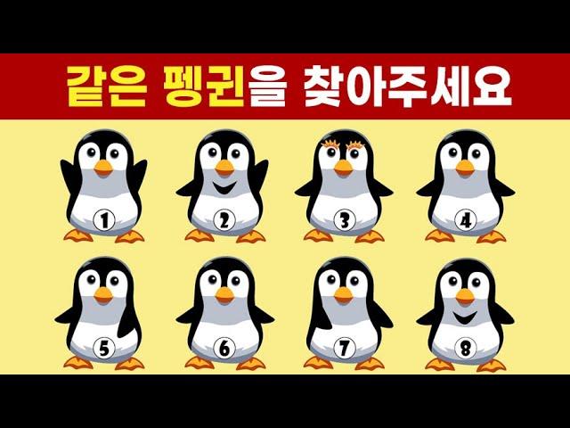 성인 92%가 같은 그림을 찾지 못합니다. 집중력 눈썰미 테스트.