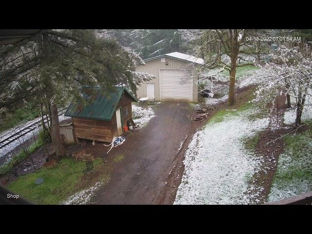 mountainlions2