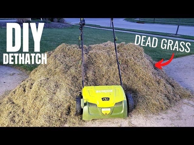 DIY Dethatching & Overseed the Lawn | Sun Joe Dethatcher & Scarifier | Spring Lawn Care