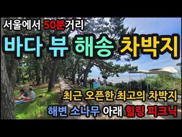 서울에서 50분거리/최근 오픈한 최고의 무료노지캠핑 차박지/해변 소나무 아래 힐링피크닉/ 최신식 화장실 개수대 다 무료입니다