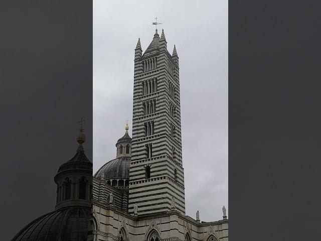 Campane della cattedrale di Siena (SI).