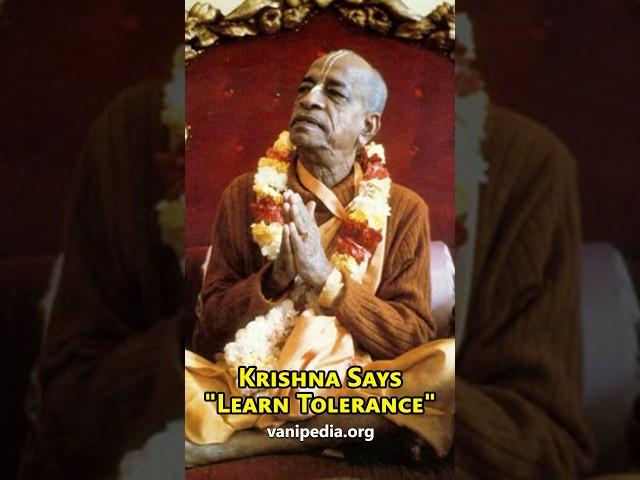 Krishna Says Learn Tolerance - Prabhupada 0785