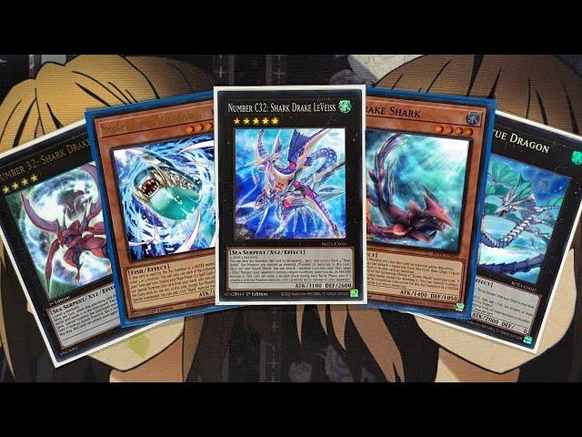 My Shark Yugioh Deck Profile for Post Rage of the Abyss