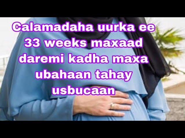 calaamadaha uurka ee 33 weeks maxaad daremaysa iyo  usbuucan maxaad ubahaan tahay