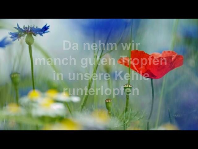 Wenn wir sonntags in die Kirche gehn, s' war immer so. Mit Text (HD 1080p)