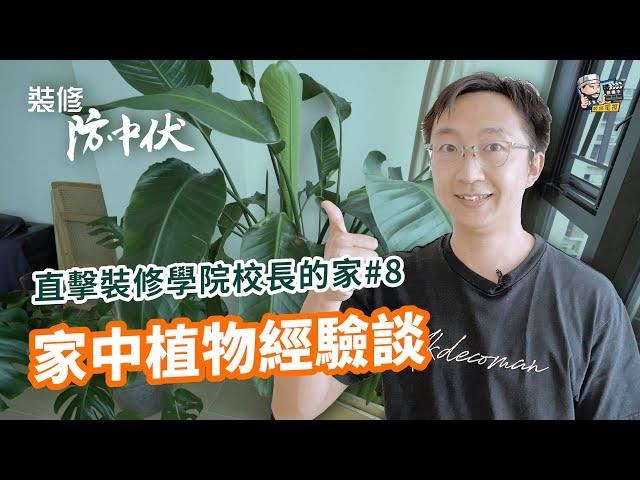 妙用室內盆裁為客廳帶來生氣！直擊裝修學院校長的家 | 裝修 | 裝修顧問 | 家居維修 | 室內設計 | 裝修佬 HKDecoman