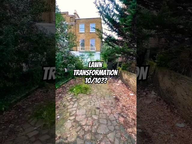 Lawn Transformation for $1,000?! Watch This! 