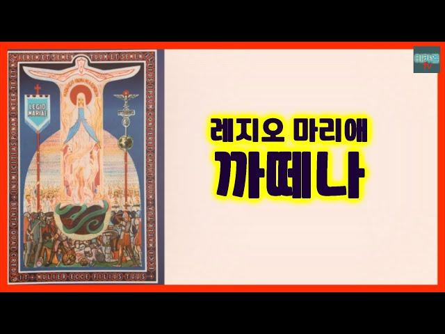레지오 마리애 까떼나