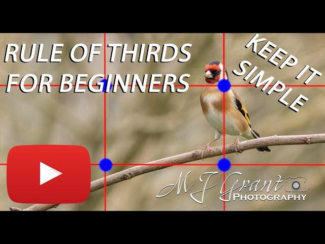 Understand the RULE OF THIRDS & greatly improve your BIRD & NATURE PHOTOGRAPHY