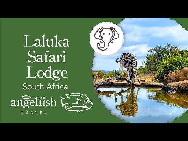 Laluka Safari Lodge | Superb Luxury Eco-Friendly Lodge