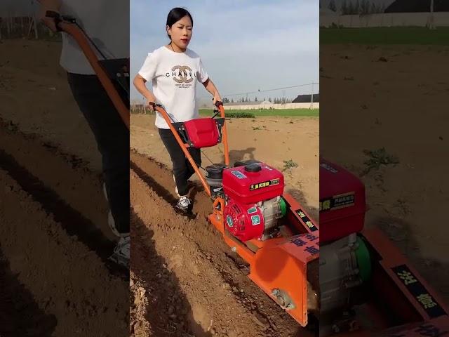 #trencher #weeding, rotary tillage, ditching and soiling one machine multi-purpose #multiFunctional